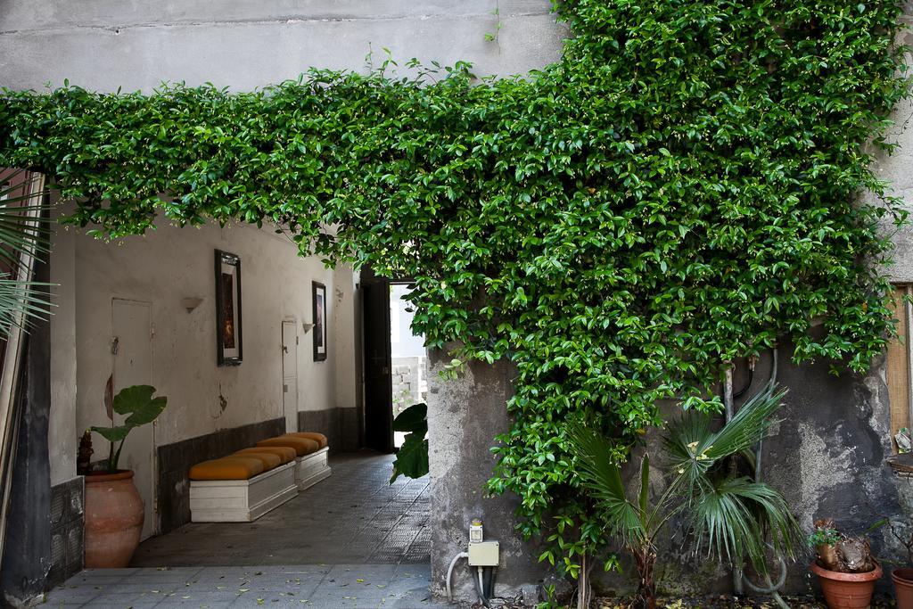 Alcala Living Apartments Catania Rum bild